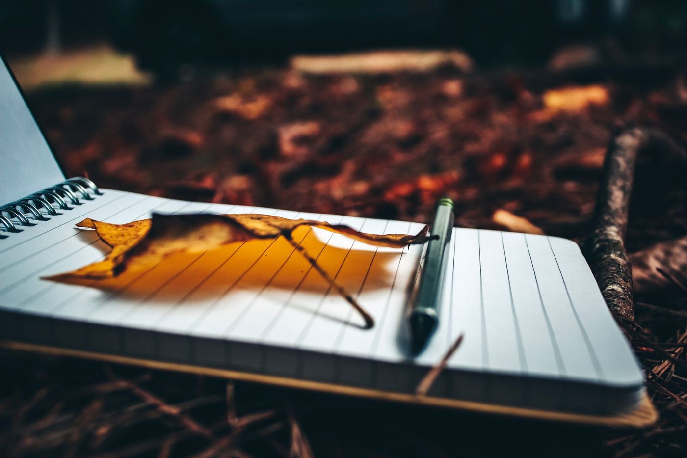Sušený podzimní list a pero na otevřeném kroužkovém sešitu mezi suchým listím