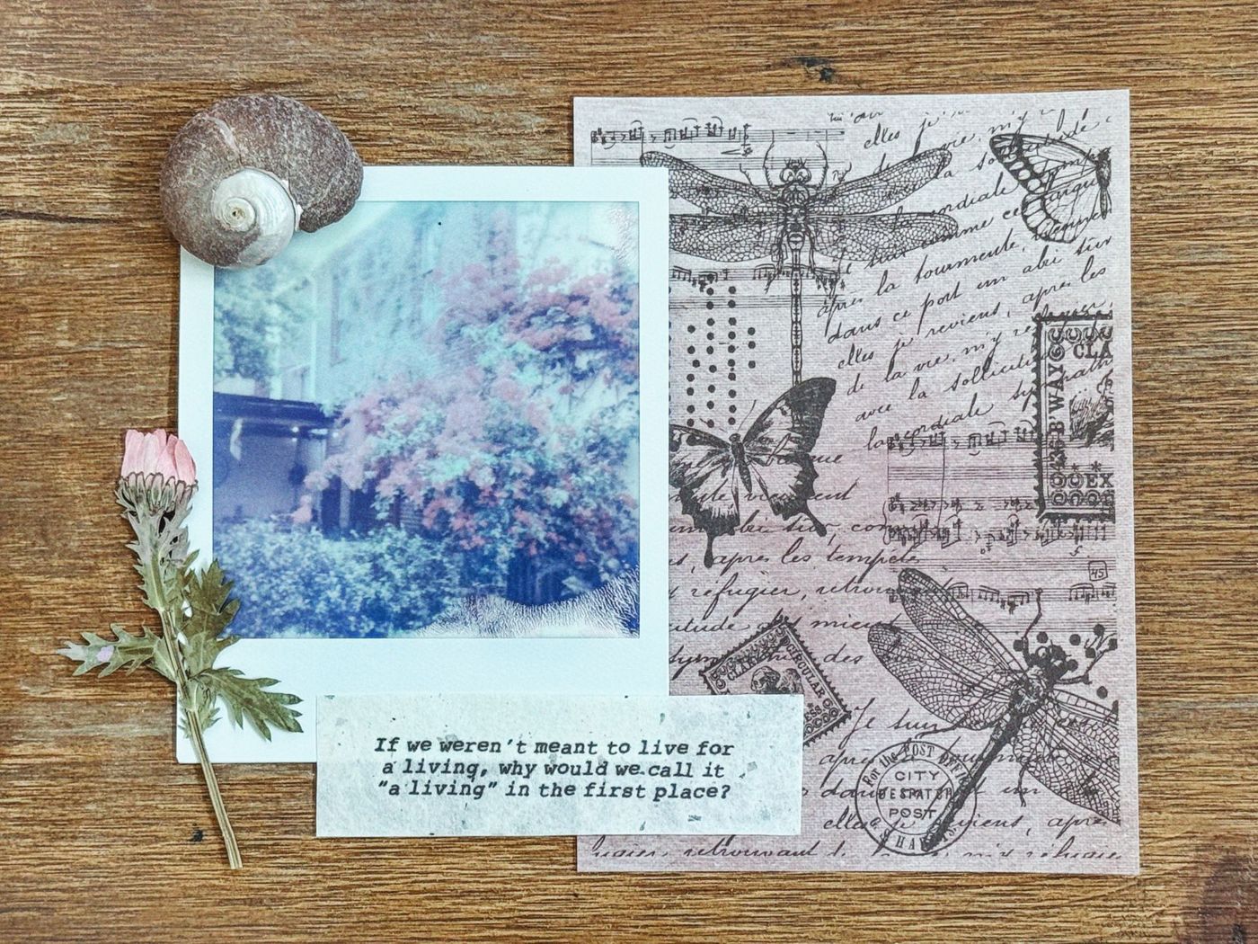 Wooden table with a Polaroid of a flowering shrub, a seashell, a pressed flower and vintage paper with dragonflies