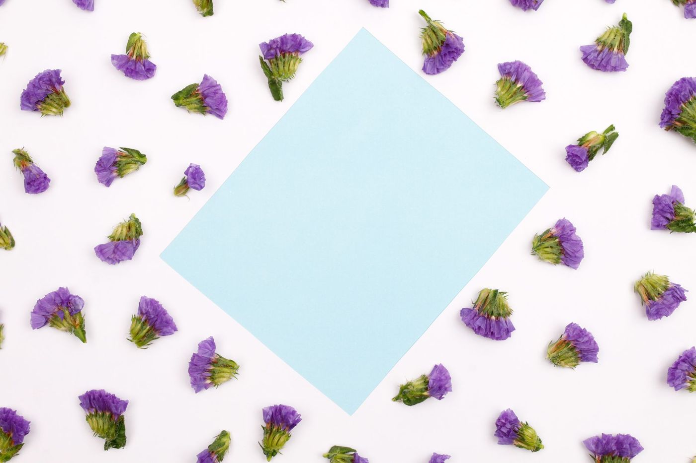 Light blue square paper set on its point, surrounded by small purple dried flowers on a white background