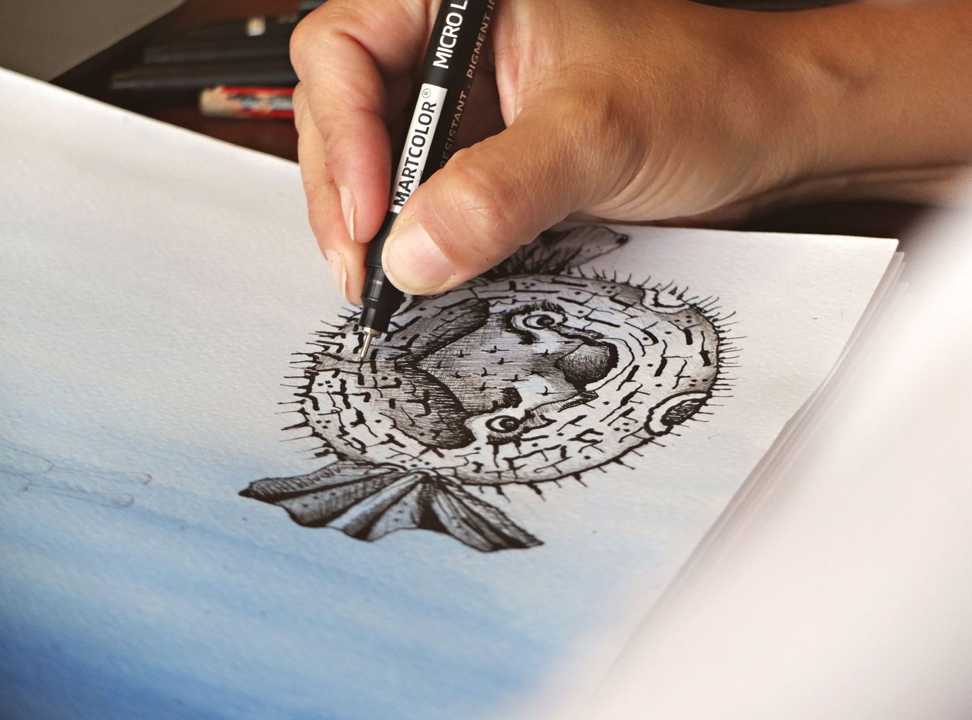 A hand drawing a pufferfish with a black pigment ink fineliner on paper with a blue watercolour wash